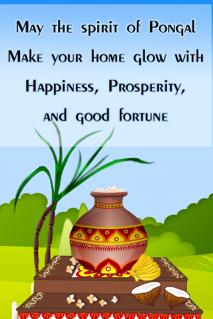 Bright&Colorful Pongal