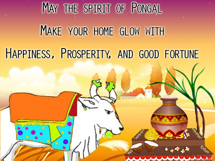 Bright&Colorful Pongal